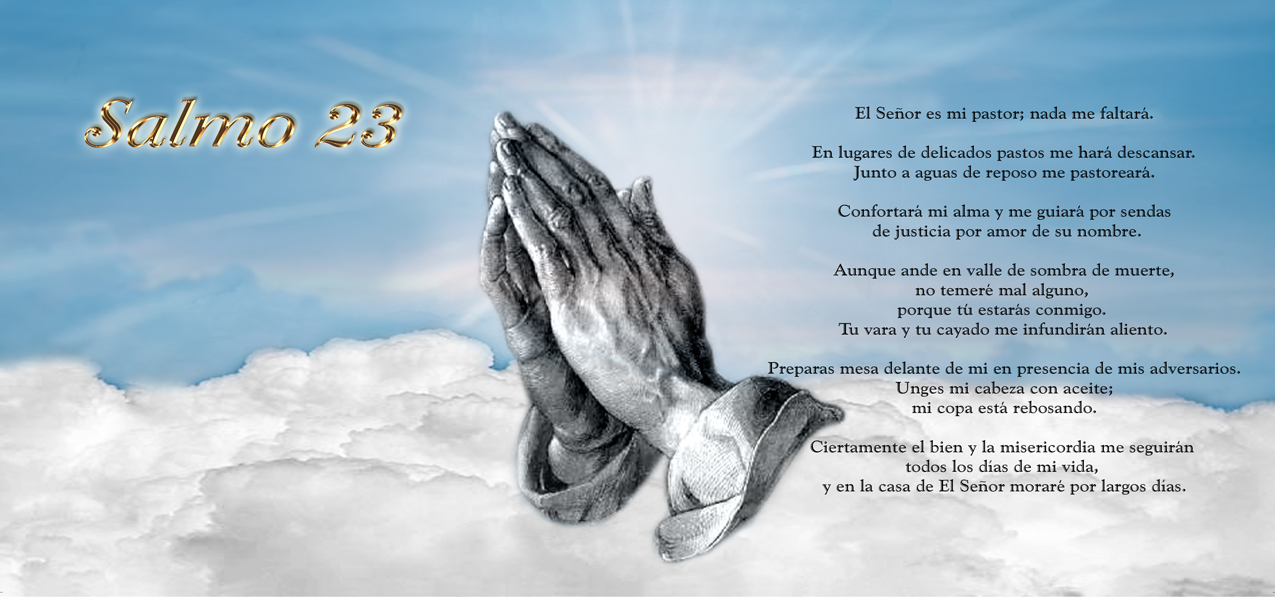 P 204 BL Salmo 23 Blue